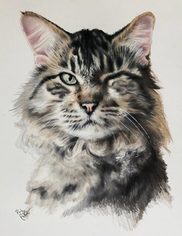 winking  cat art