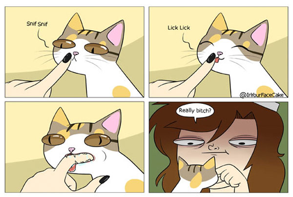 bitey cat comic