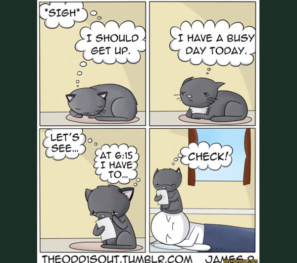 cat with agenda comic