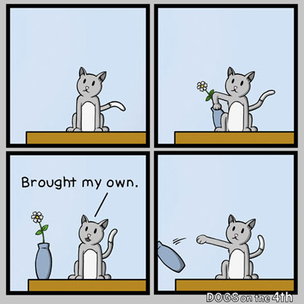 cat breaks things comic