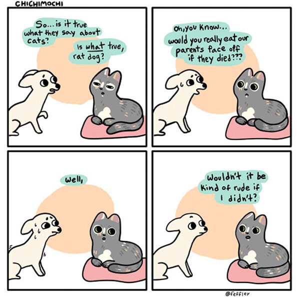 cat face cannibal comic