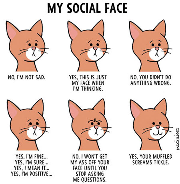 cat faces  comic