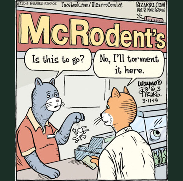 cat fast-food comic