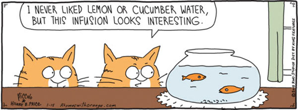 cats and fishbowl comic