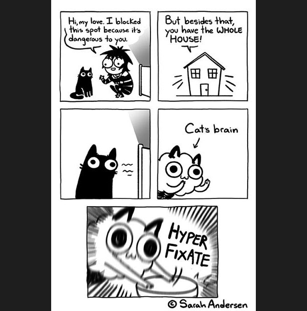 cat fixate comic