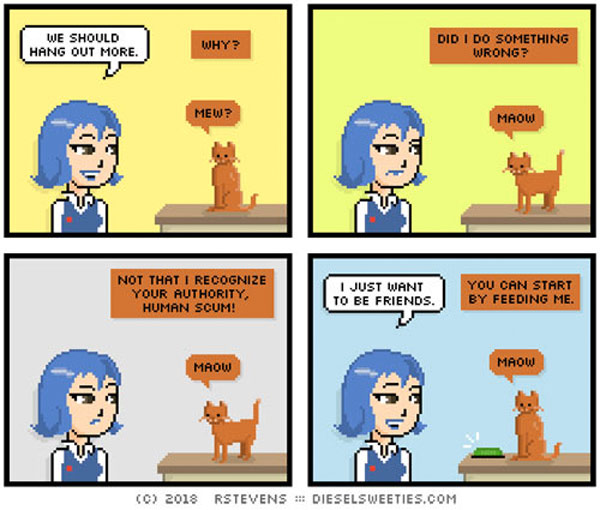 friend cat comic