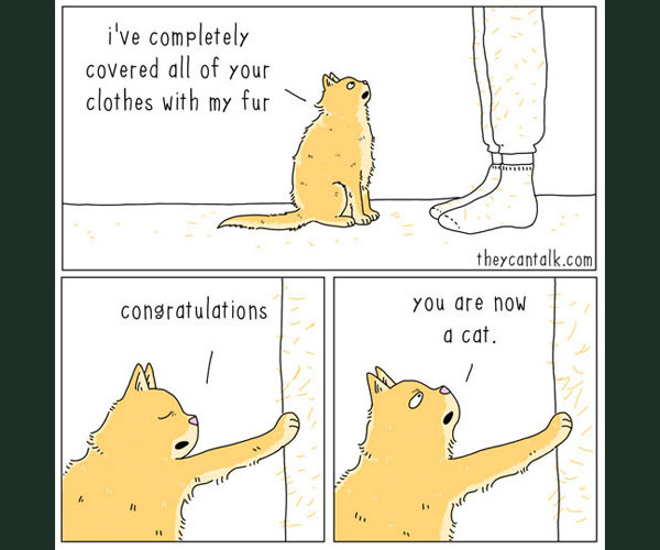 cat shedding comic