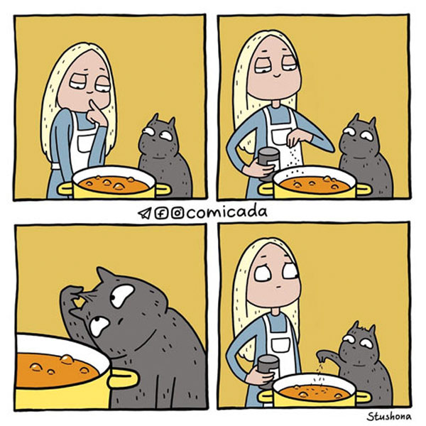 cat hair in food comic
