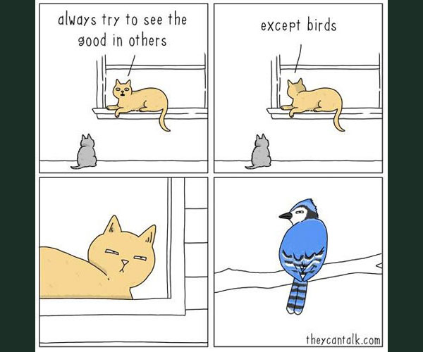 cat hates birds comic