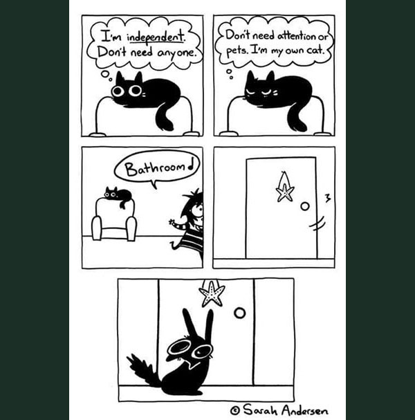 cat wants in bathroom comic