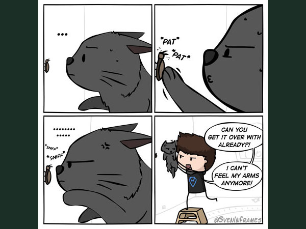 cat kills bug  comic