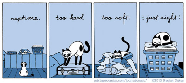cat and laundry comic