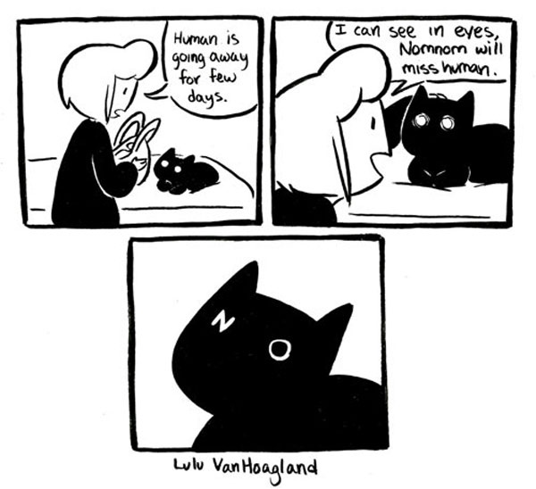 cat won't miss you comic