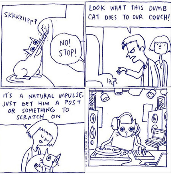 cat scratch comic