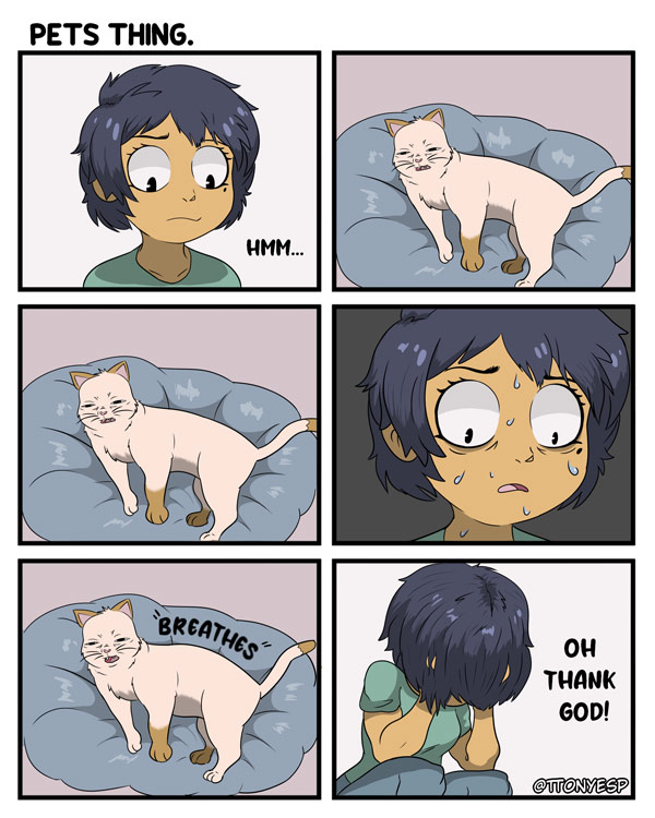 cat worrycomic