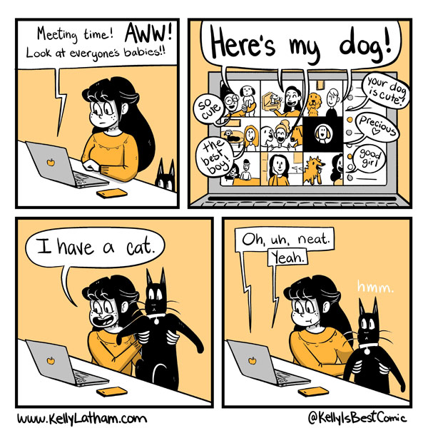 cat zoom comic