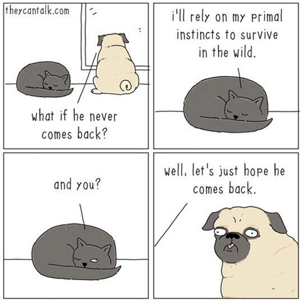 dogs cat comic