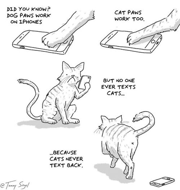 cats don't text comic
