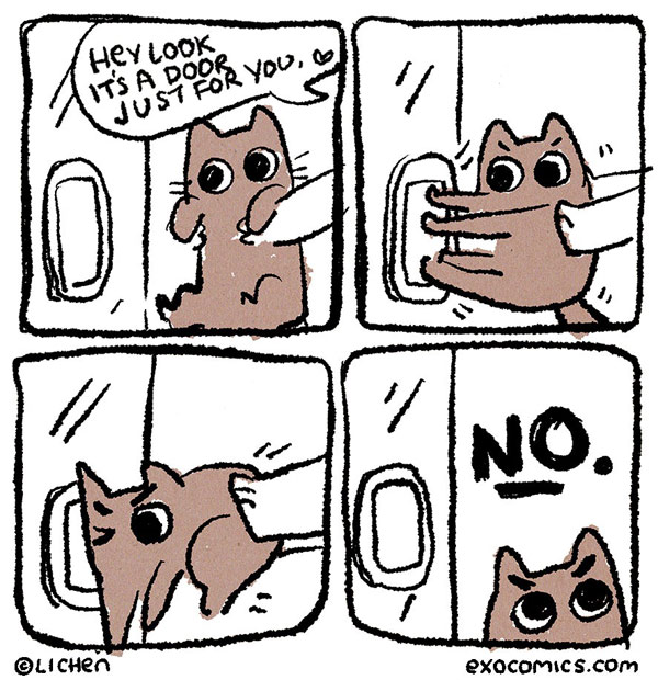 cats hate doors comic
