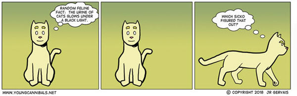 glowing cat comic