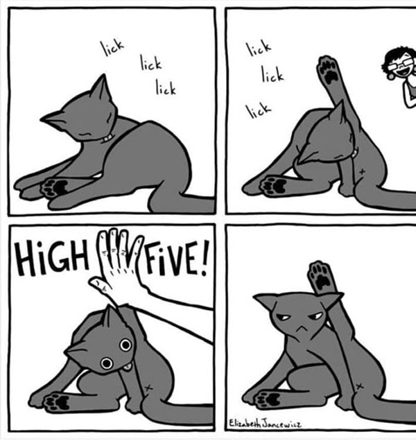 high five cat comic