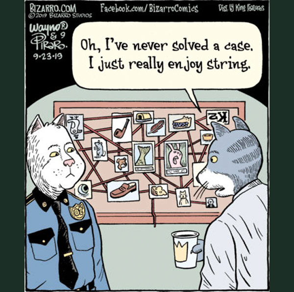 mystery case cat   comic