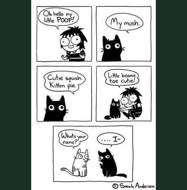 the cat's name comic