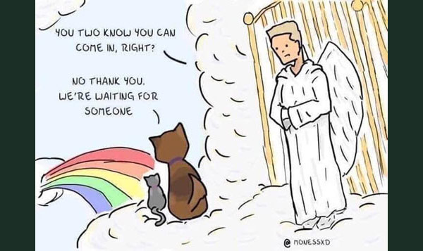 rainbow bridge comic