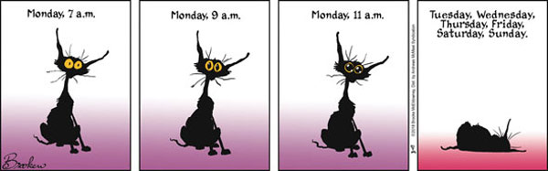 sleeping cat comic