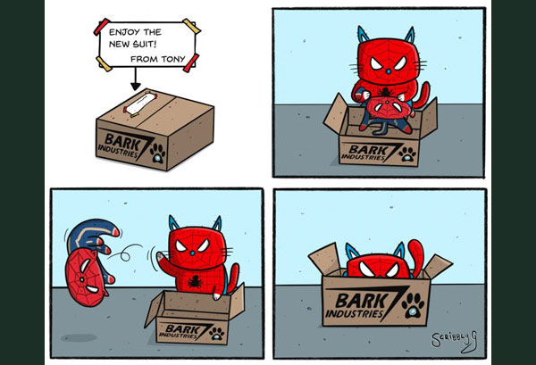 spider-cat in boc comic