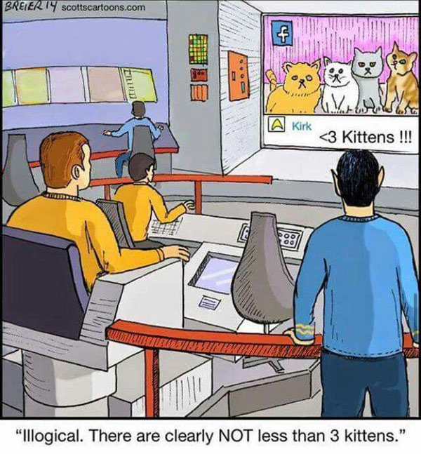 star trek kitten comic