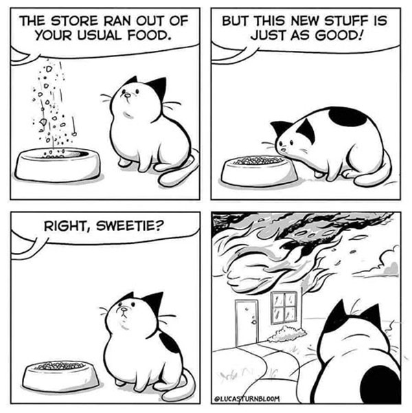 sttore brand cat food  comic