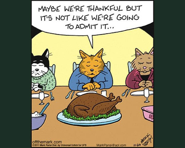 thanksgiving cat comic