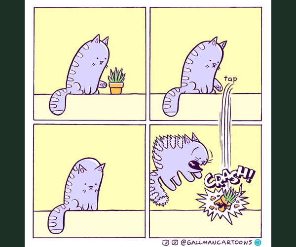 weird gravity cat comic