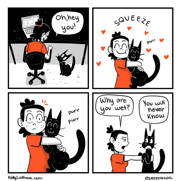 wet cat comic