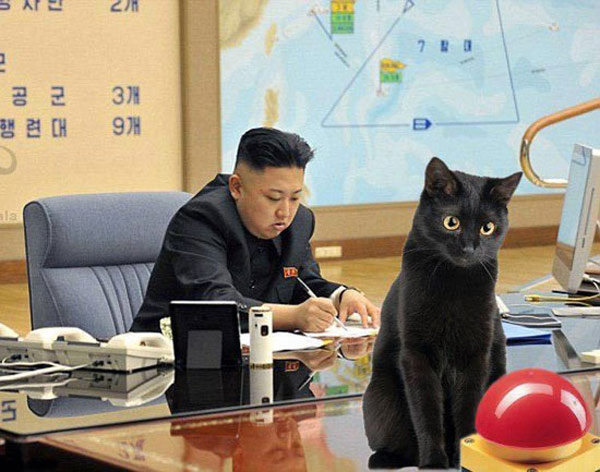 cat and the nuclear button