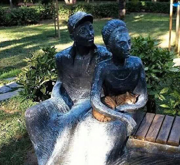 cat asleep on statue