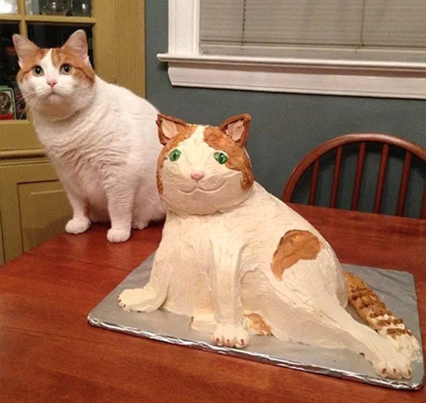 cat cake