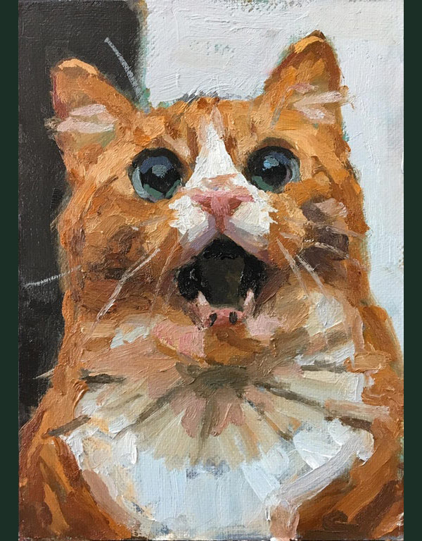 amazed cat art