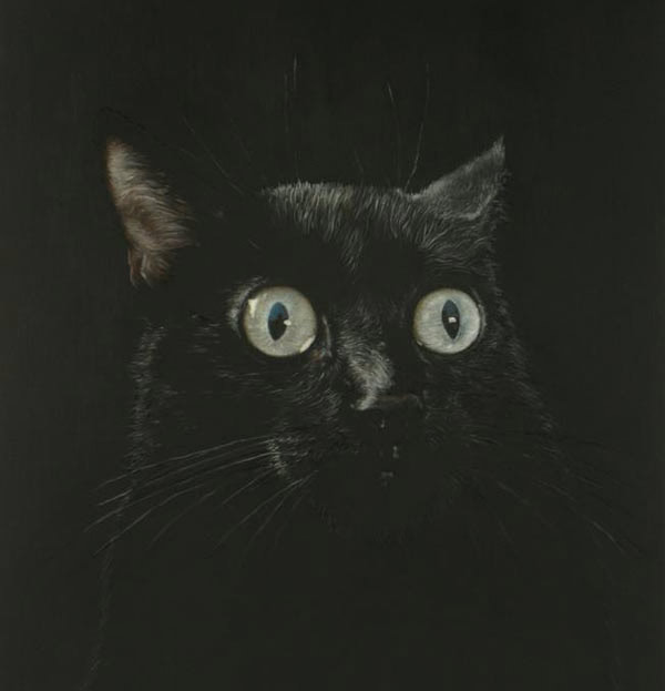  black cat art
