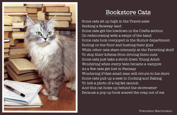 bookstore cats poem