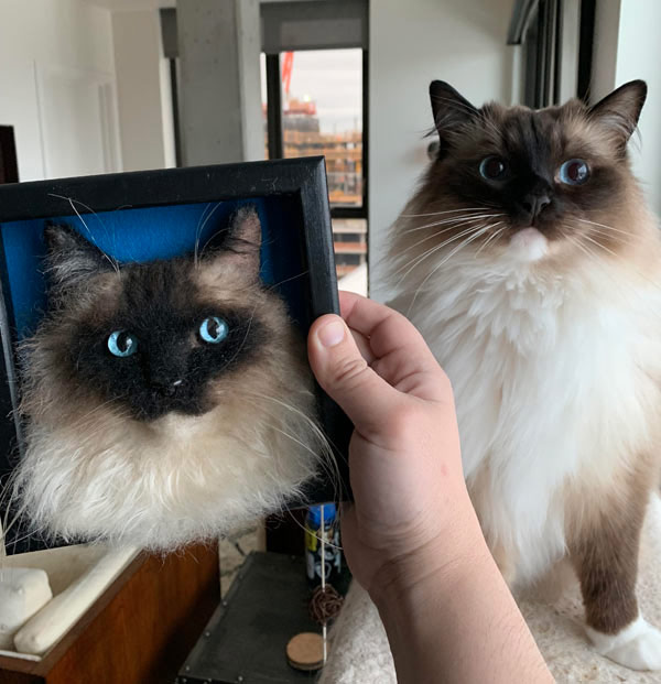 felt cat art