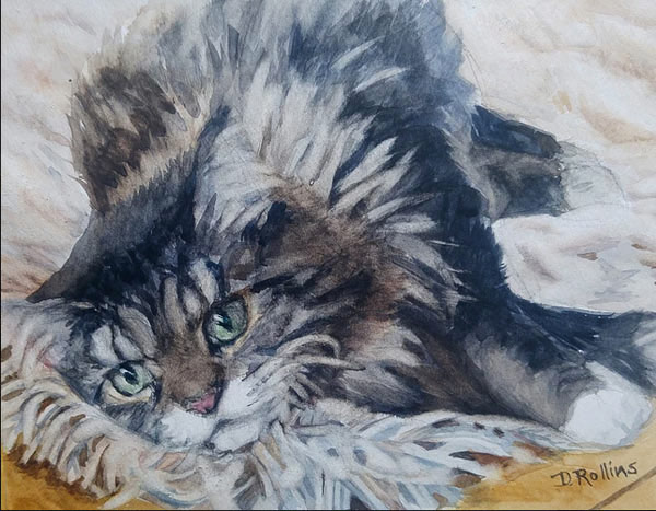fluffy cat art
