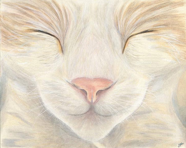 happy kitten face  art