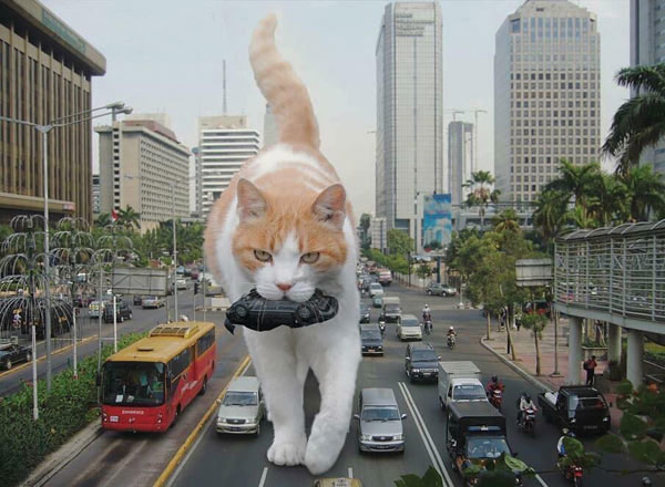 kaiju cat art