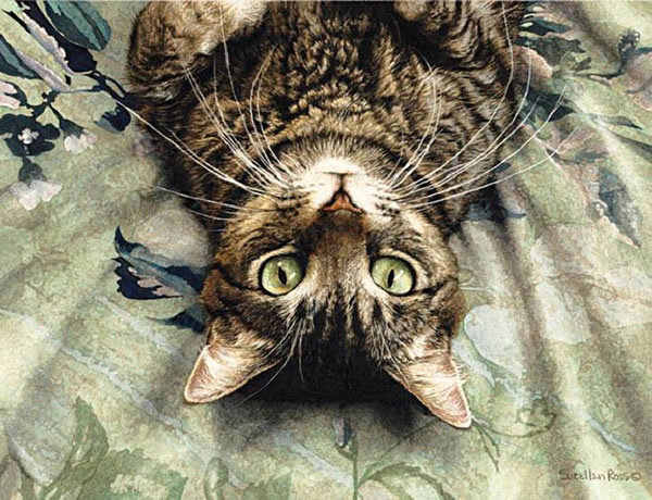 upside down cat  art