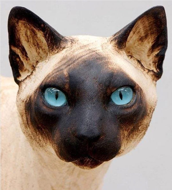 wooden siamese cat art