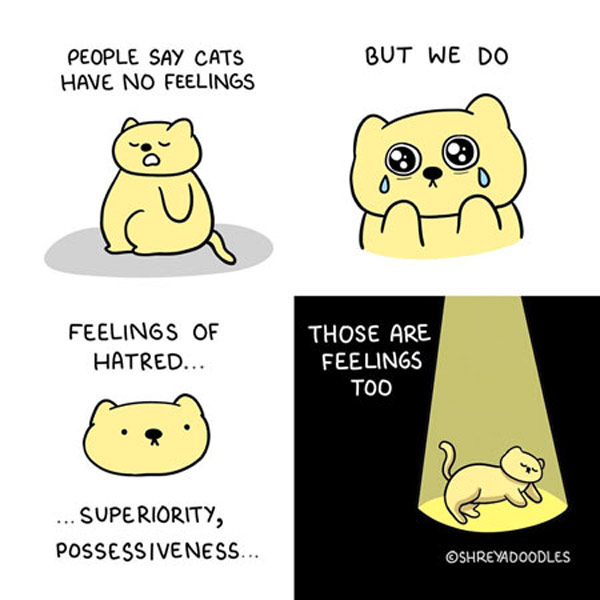  cat feelings comic