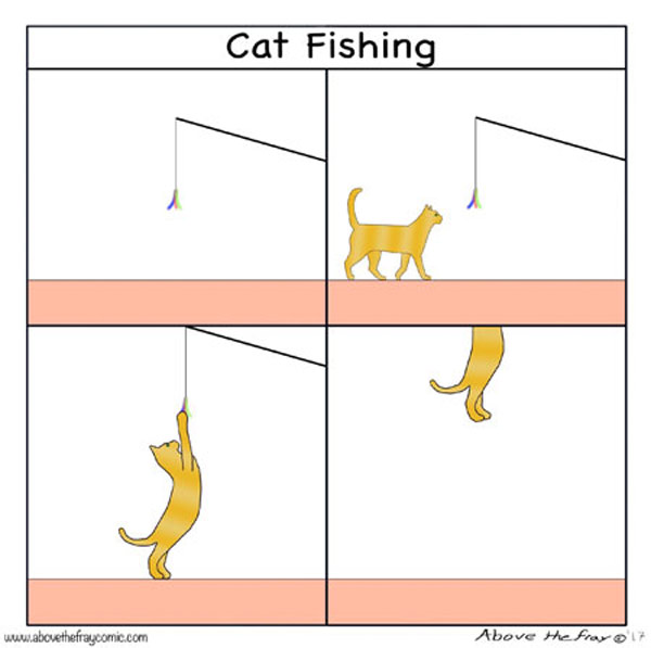 cat fishing comic