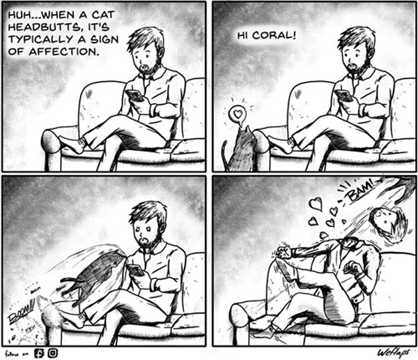 head-butt cat comic
